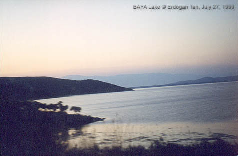 BAFA (�ami�i) G�l�