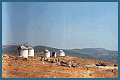 Bodrum's Wind-Mills