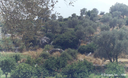 PATARA - August 1, 1999