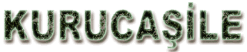 Kurucasile
