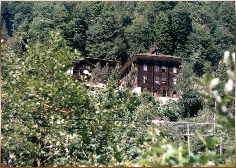 a Typical Mansion of Trabzon-Rize region - Tipik LAZ KONAGI (August 2004 - �AMLIHEMSHiN)